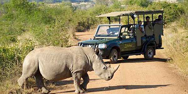 pilanesburg-game-safari-1