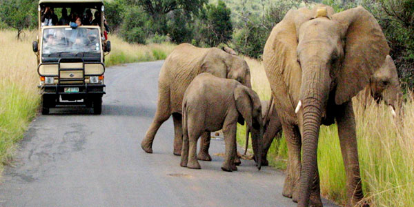 South Africa packages