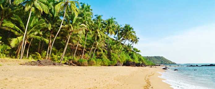 7 FOOD HAVENS FOR VEGETARIANS IN GOA