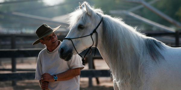 Dubai holiday packages