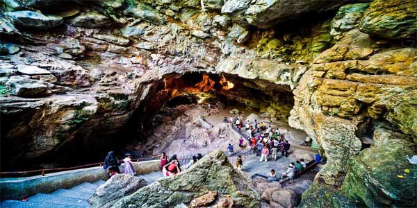 Domestic holiday packages