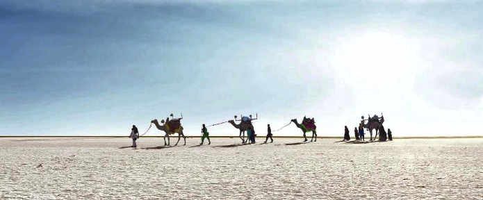 Let’s see what is Gujarat famous for !