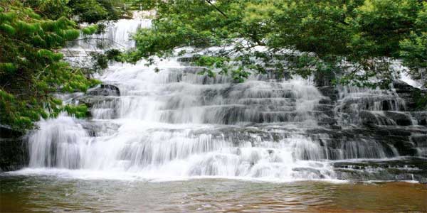 Domestic tour packages from Mumbai