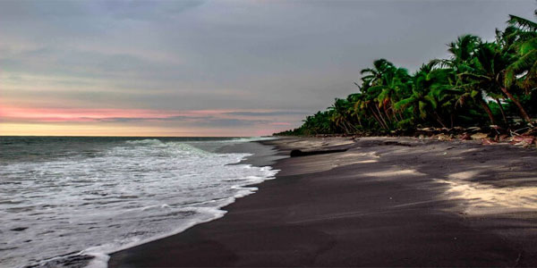Kerala holiday packages