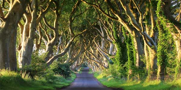 blog_northern_ireland