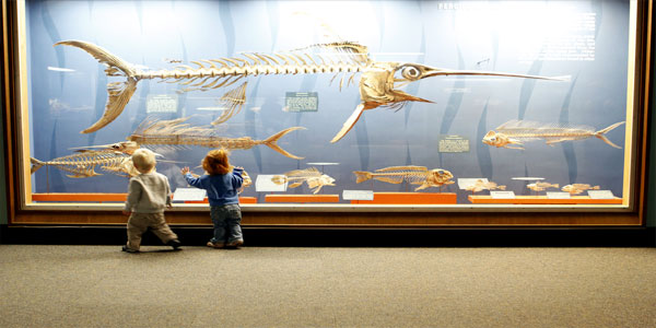kids-at-museums