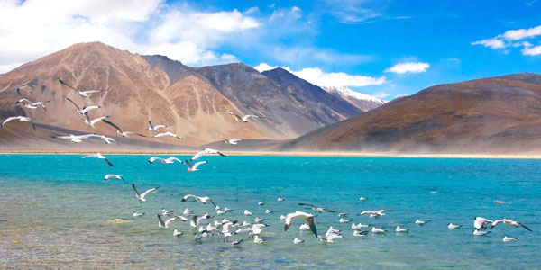 pangong-lake