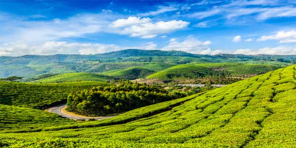 bigstock-Kerala-India-travel-background-71692501