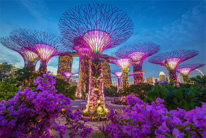 Crazy Singapore Facts We Bet You Never Knew!
