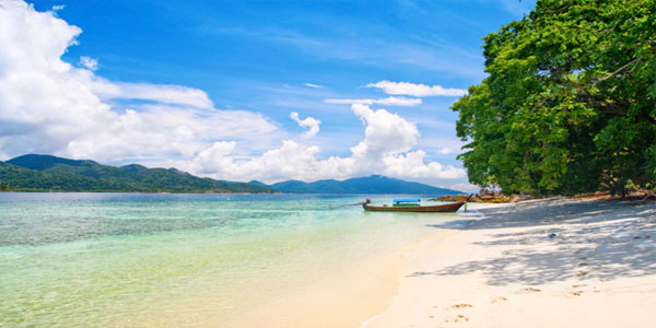 International tour packages