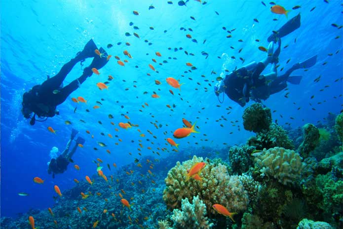 Beginner’s Guide for Scuba Diving in Phuket