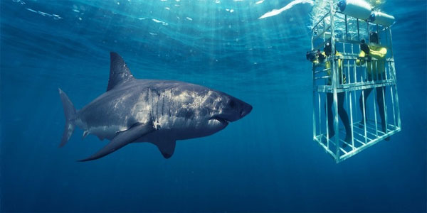 South Africa holiday package