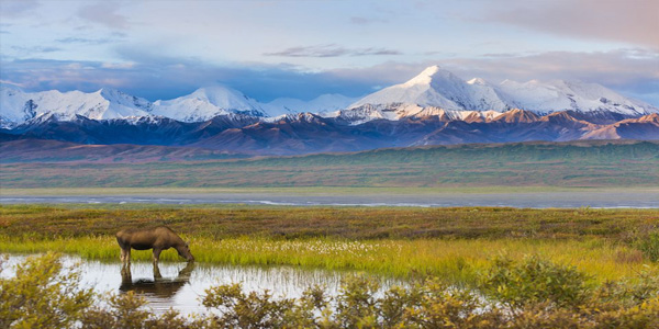 USA holiday tour packages