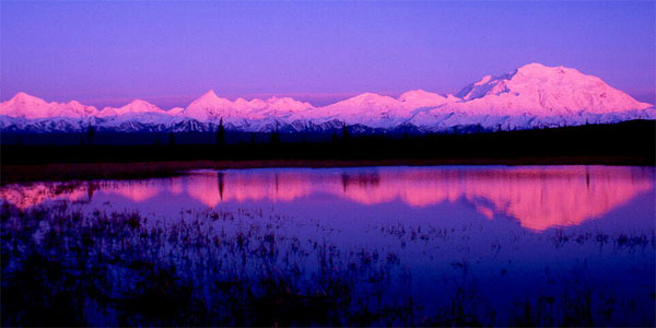 USA holiday packages