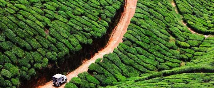 A Tour Guide To Kerala : All You Need To Know