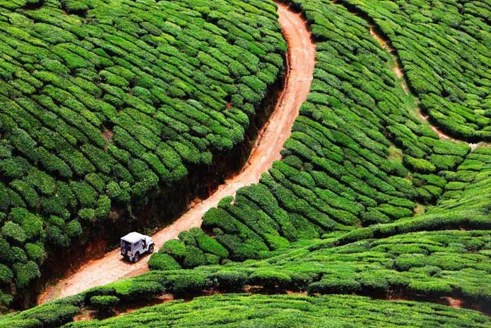A Tour Guide To Kerala : All You Need To Know