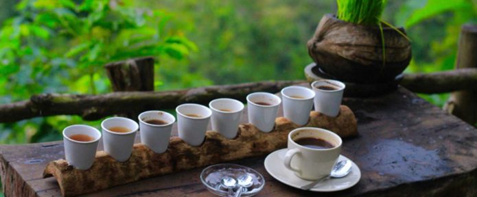Check Out The List Of Best Coffee Shops In Bali, Indonesia