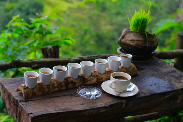 Check Out The List Of Best Coffee Shops In Bali, Indonesia