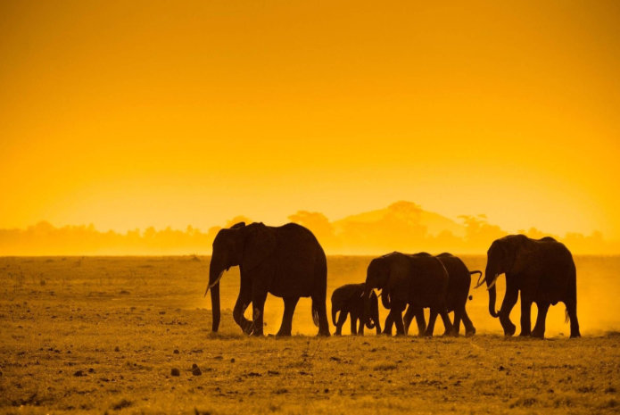 Reasons Why South Africa Should Be On The Top Of Your Bucket-list