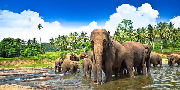sri lanka packages