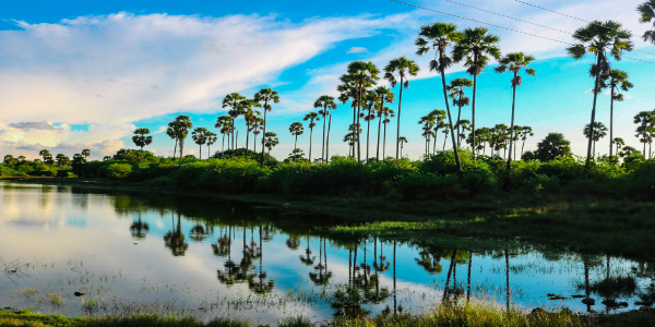 sri lanka tour packages from ahmedabad