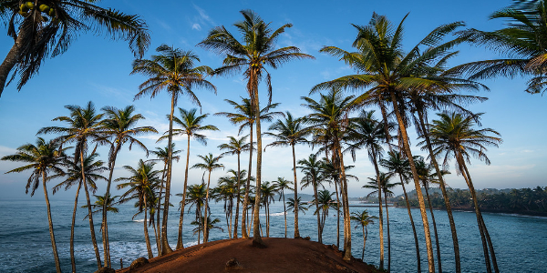 sri lanka holiday tour packages