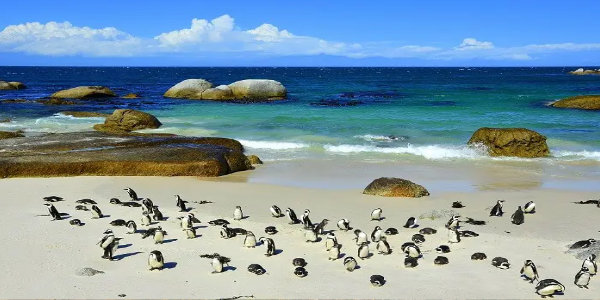 South Africa tour packages from Mumbai