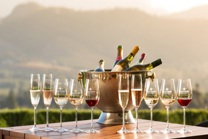 Best Wine Tasting Estates In South Africa