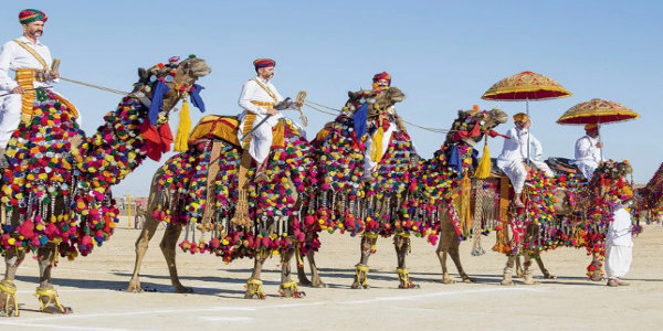 domestic holiday packages