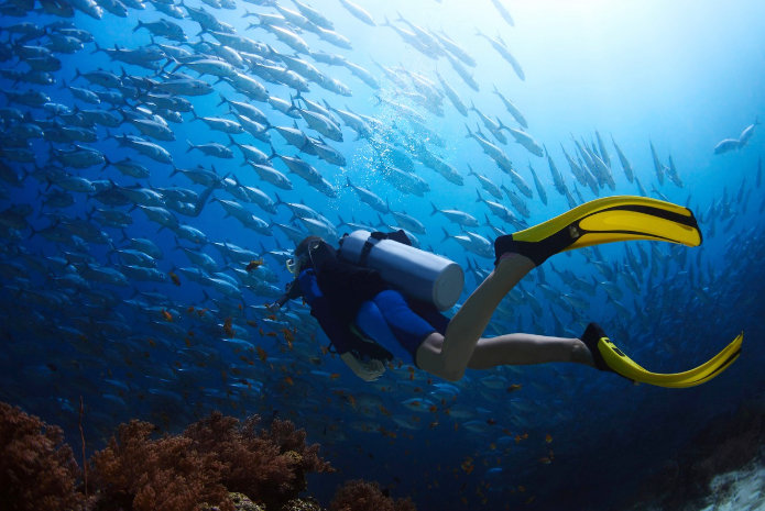 10 Best Dive and Snorkel Destinations