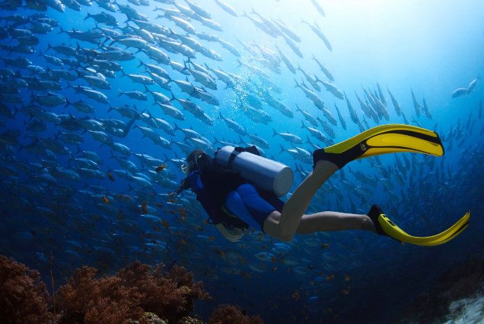 10 Best Dive and Snorkel Destinations