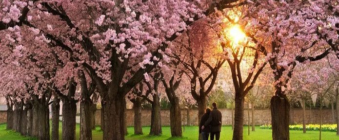 The Perfect Honeymoon Itinerary For Japan