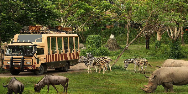 The Best Time To Visit Bali And Things You Will Simply Love In This