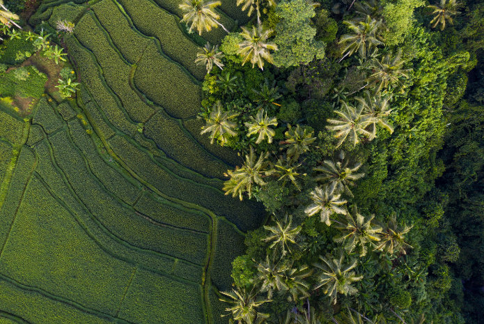 The Best Time To Visit Bali And Things You Will Simply Love In This Magical Paradise