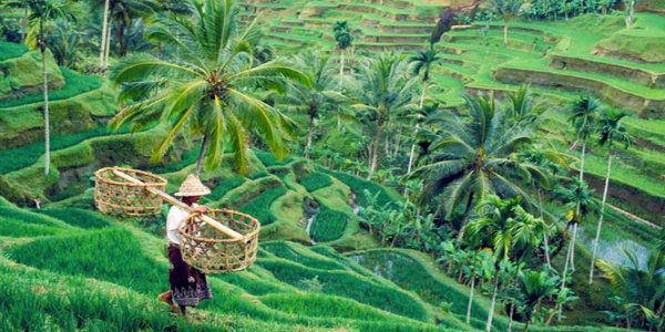 Bali tour packages from Mumbai