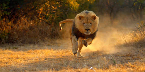 Gujarat tour packages