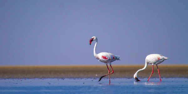 Gujarat tour packages