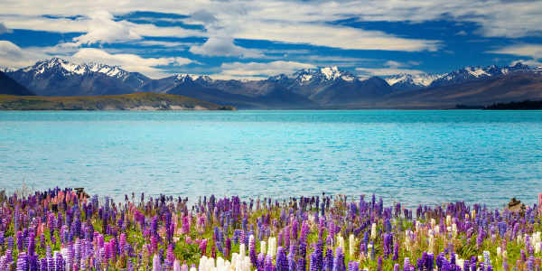 New Zealand tour packages