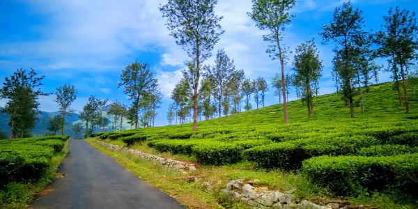 Kerala holiday tour packages