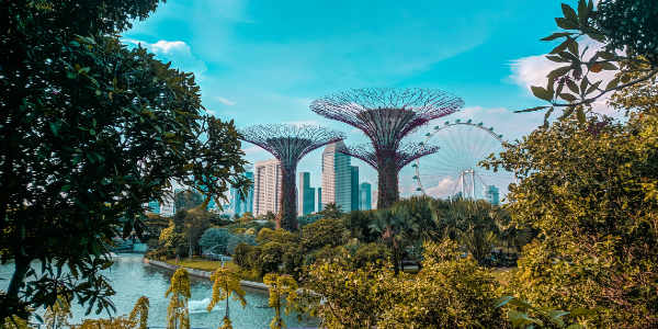 Singapore tour packages