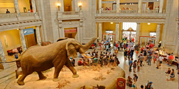 USA holiday tour packages