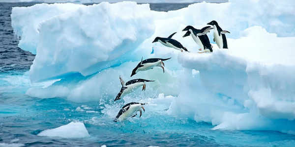 Antarctica tours