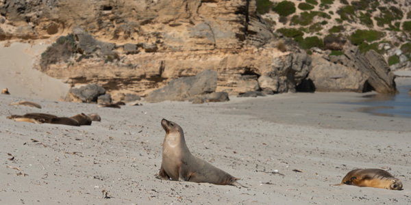 Australia Tour Packages