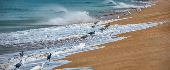 20 Best Beaches to Visit in Gujarat in 2026-27!