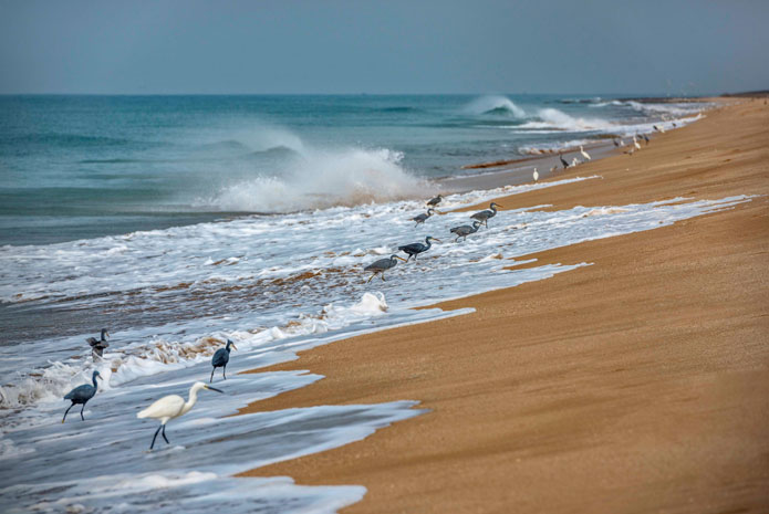 15 Best Beaches to Visit in Gujarat!