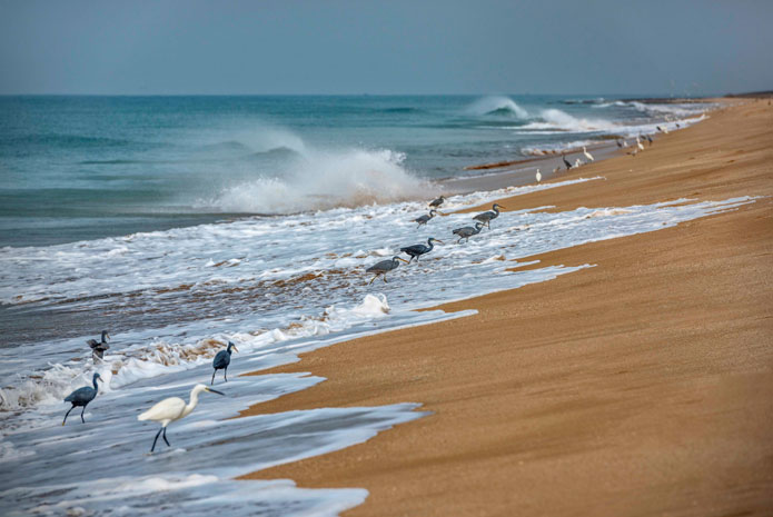 15 Best Beaches to Visit in Gujarat in 2025-26!