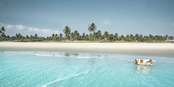 Goa Holidays