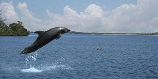 Punjab Holiday Packages