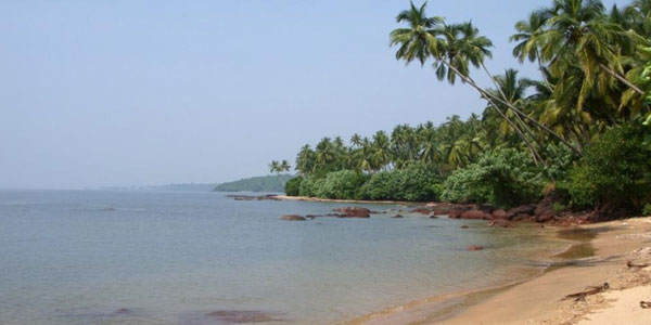 Things to Do in Goa