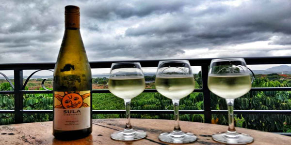 Sula Vineyards Things to do